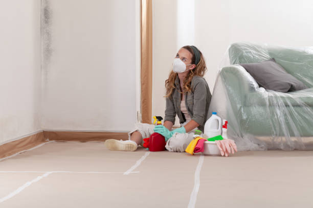 Reliable Commercial Mold Remediation contractor in Mendota, IL by 24 Hour Mold Removal